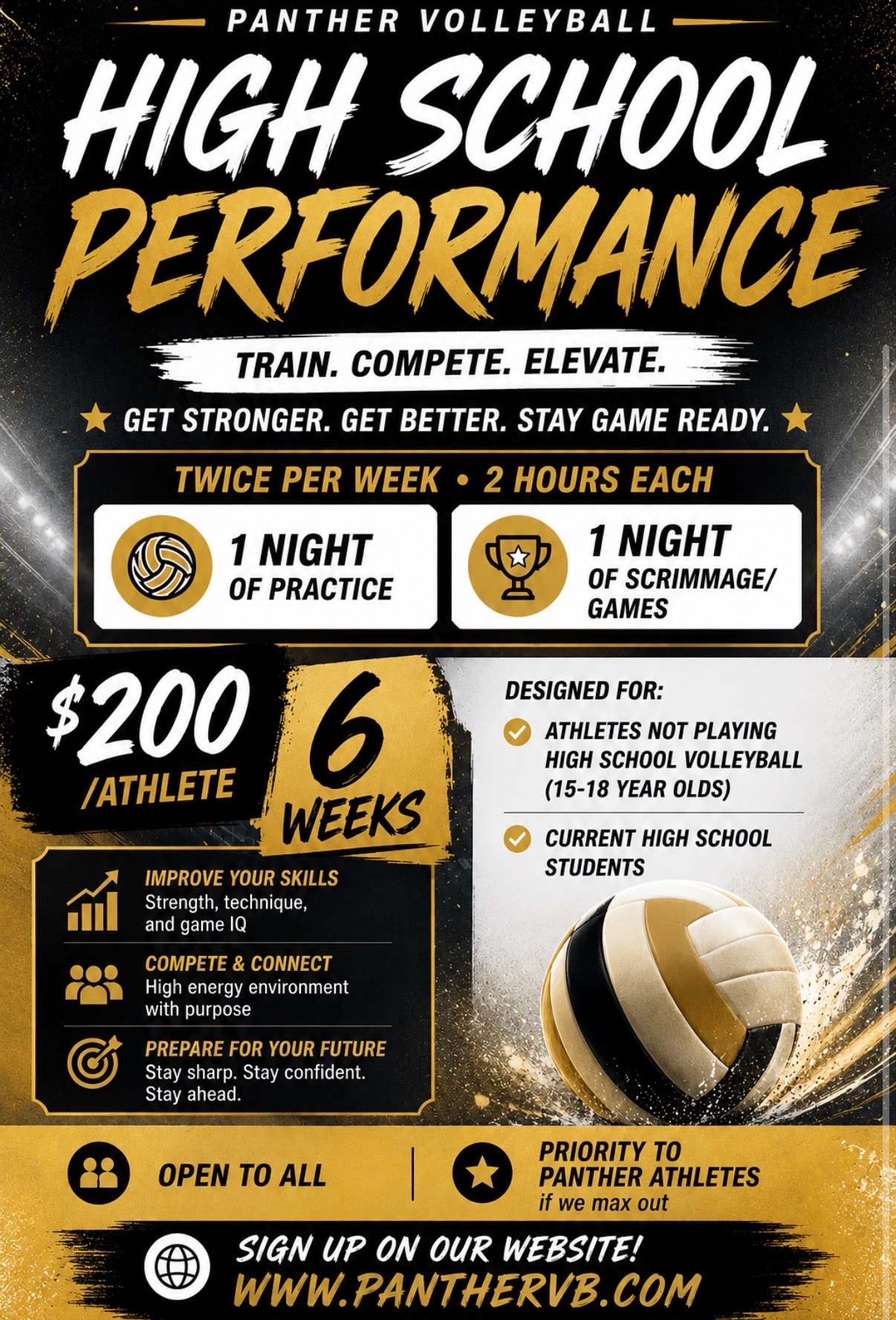 Panther Volleyball High School Performance program details